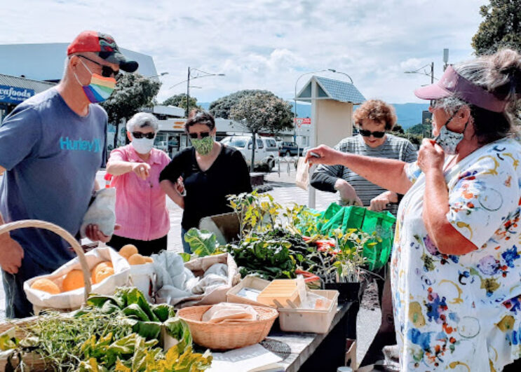 Seasonal Surplus Store Thursday Mornings outside the Ōtaki Memorial Hall...first week open November 2021.